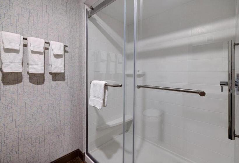 جناح, Holiday Inn Express & Suites   Brighton, An Ihg