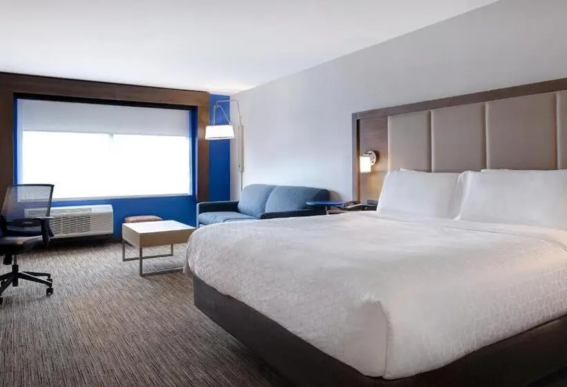 身障者適用キングサイズベッドルーム, Holiday Inn Express & Suites   Brighton, An Ihg