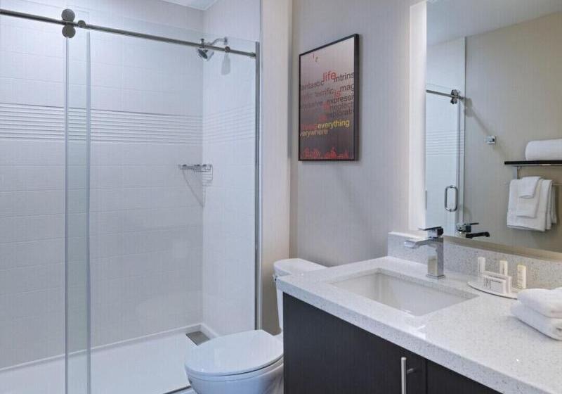Standard Studio King Bed, Towneplace Suites By Marriott Dallas Dfw Airport North/irving