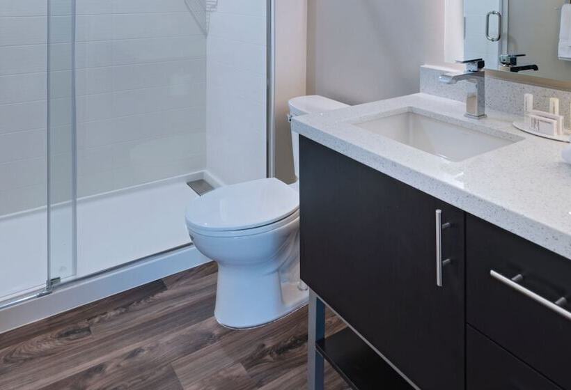 Suite, Towneplace Suites By Marriott Dallas Dfw Airport North/irving