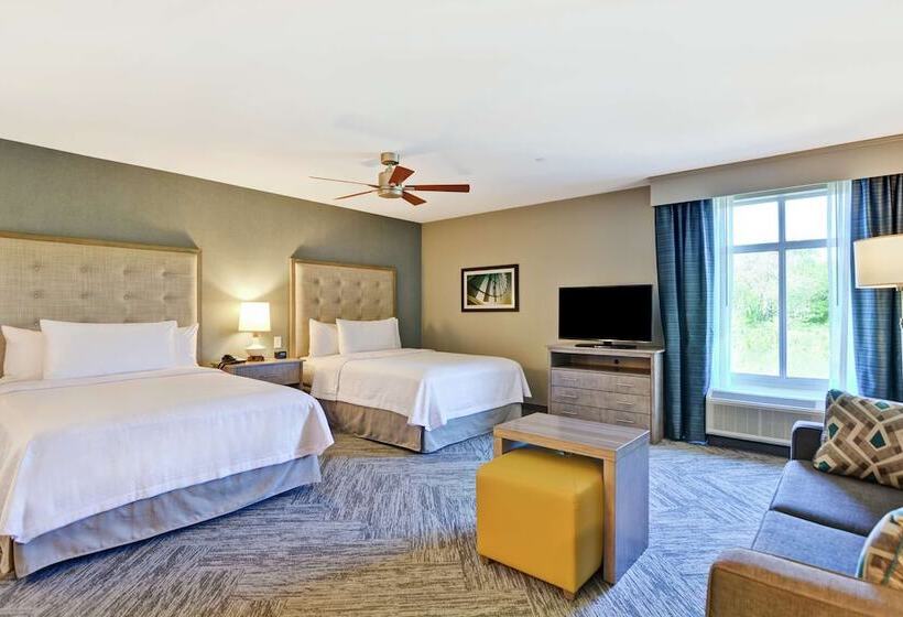 스위트, Homewood Suites By Hilton Hadley Amherst