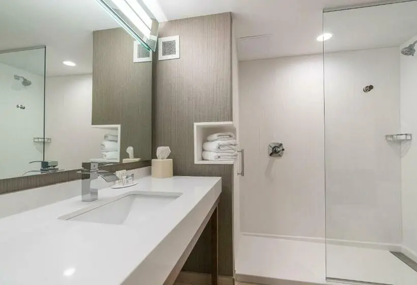 スタンダードルーム, Courtyard By Marriott West Springfield