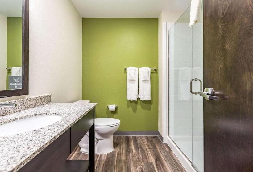 Стандартный Номер Кровать Кинг, Sleep Inn & Suites Mt. Hope Near Auction & Event Center