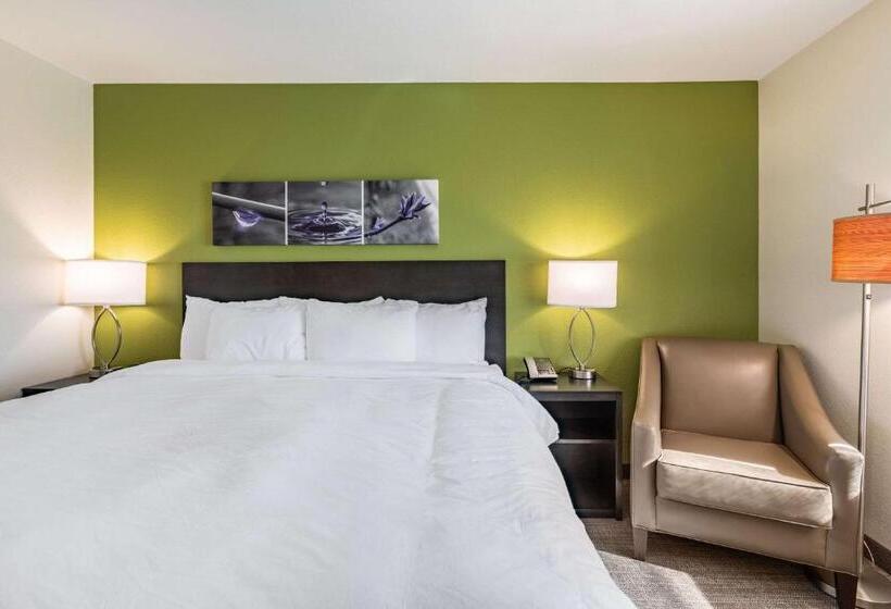 Стандартный Номер Кровать Кинг, Sleep Inn & Suites Mt. Hope Near Auction & Event Center