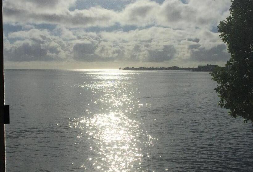 Люкс Кровать Кинг, Hilo Bay Oceanfront Bed And Breakfast