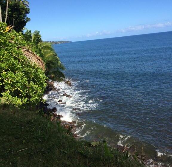 Люкс Кровать Кинг, Hilo Bay Oceanfront Bed And Breakfast