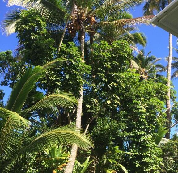 Номер Стандарт с Балконом, Hilo Bay Oceanfront Bed And Breakfast