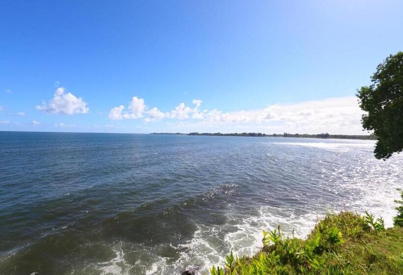 Люкс с Видом, Hilo Bay Oceanfront Bed And Breakfast