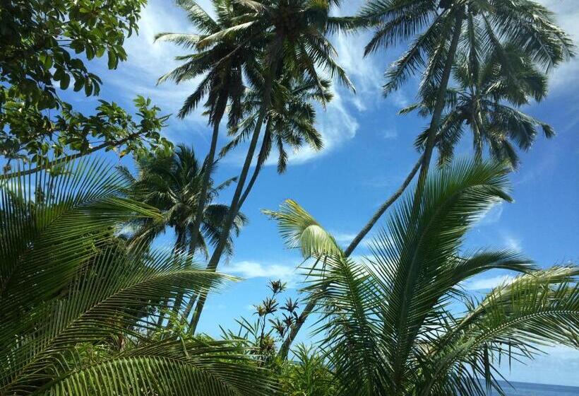 Люкс с Видом, Hilo Bay Oceanfront Bed And Breakfast