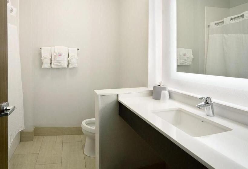 Номер Стандарт, Holiday Inn Express & Suites   Wentzville St Louis West, An Ihg