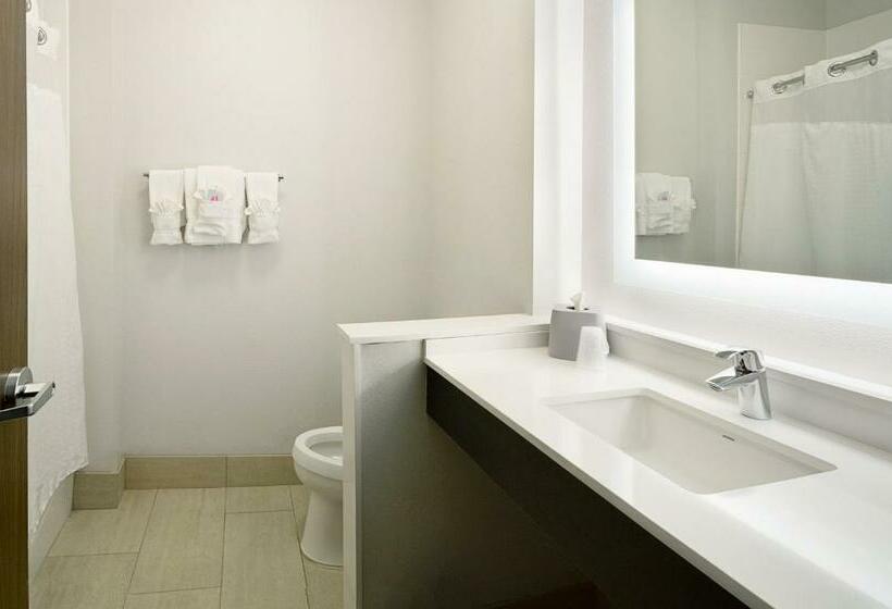 جناح, Holiday Inn Express & Suites   Wentzville St Louis West, An Ihg