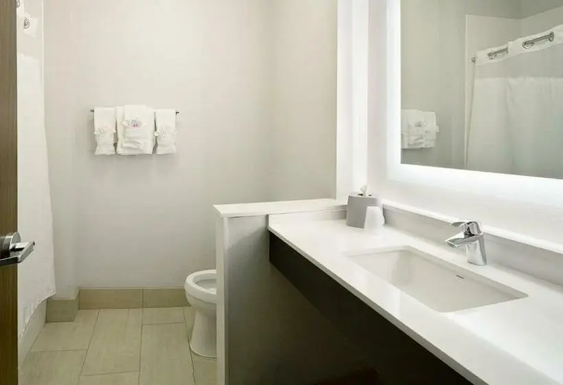 身障者適用スイートルーム, Holiday Inn Express & Suites Wentzville St Louis West, An Ihg