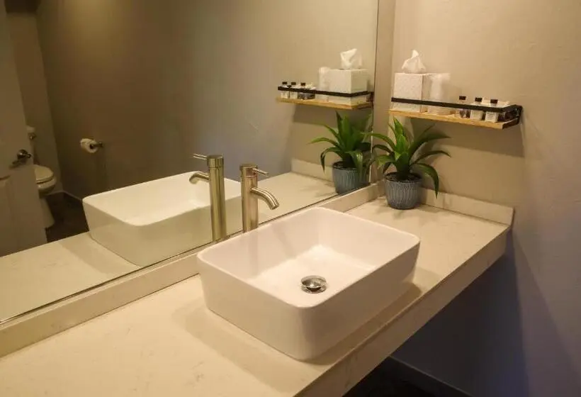اتاق استاندارد با تخت بزرگ, Americana Modern