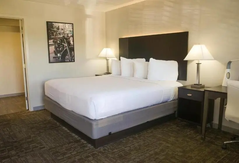 اتاق استاندارد با تخت بزرگ, Americana Modern