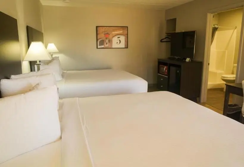 اتاق استاندارد با تخت بزرگ, Americana Modern