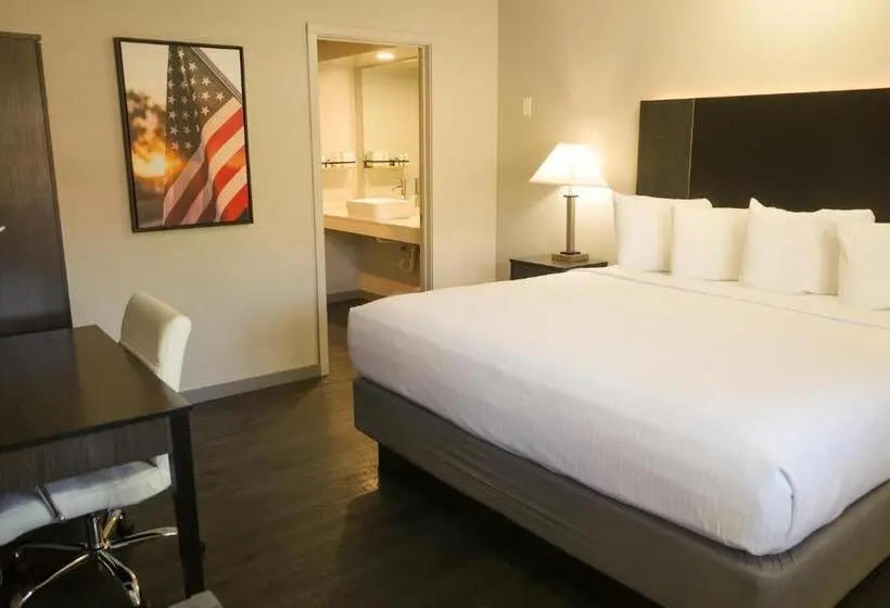 اتاق استاندارد با تخت بزرگ, Americana Modern