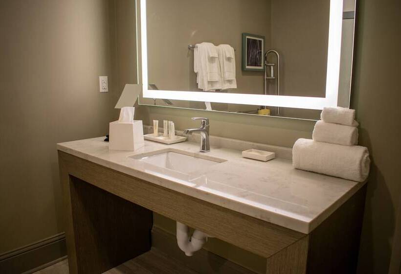 סוויטה מותאמת לאדם עם מוגבלויות, Grand Centennial Hotel At Centennial Plaza   Gulfport