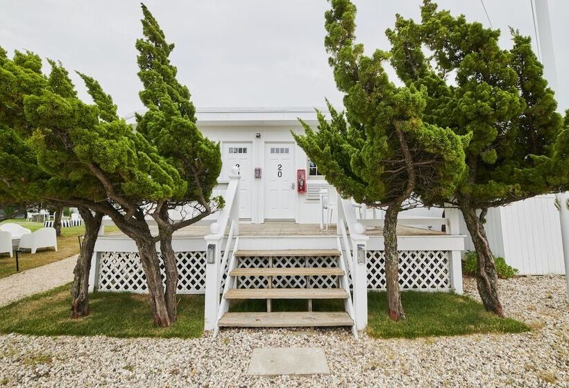 جناح, The Sunset Montauk