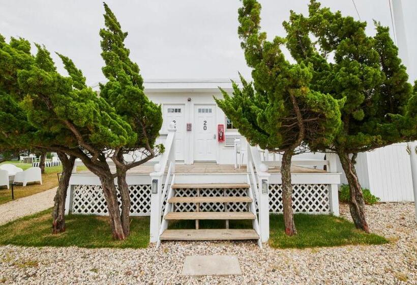 جناح, The Sunset Montauk