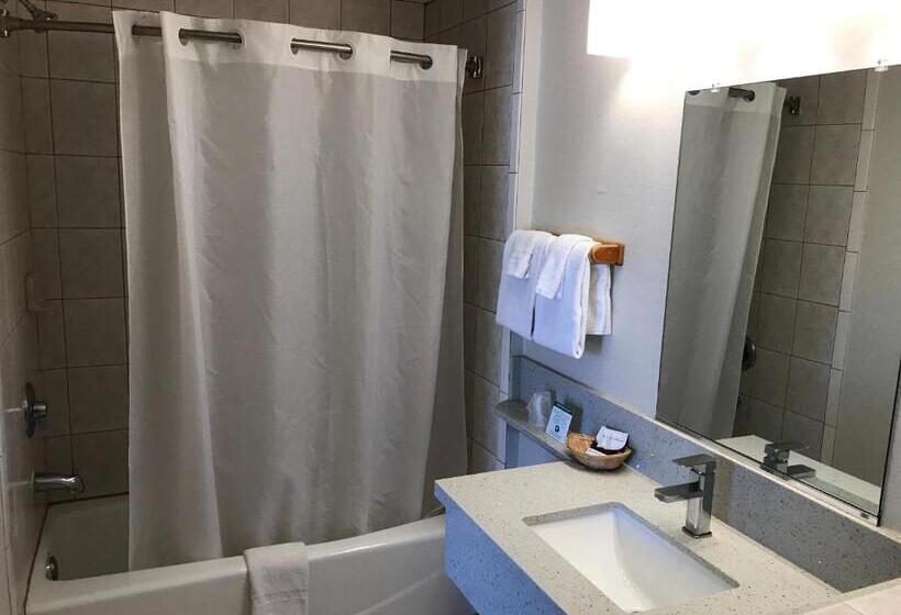 اتاق استاندارد, Manhattan Inn & Suites