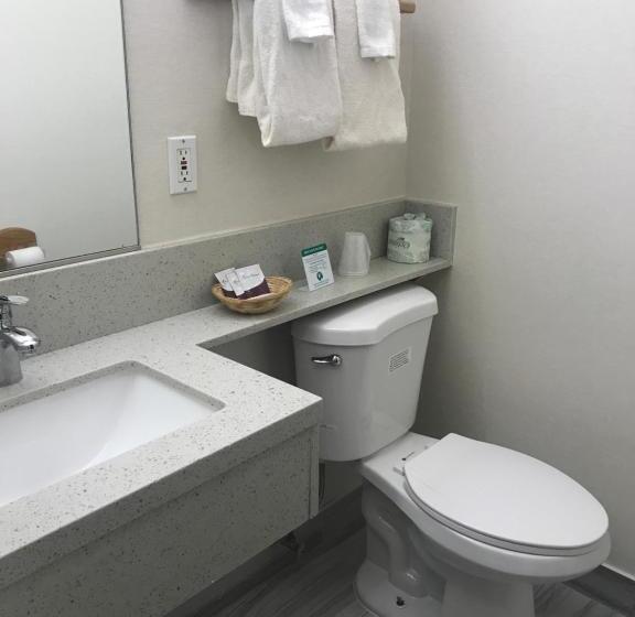 اتاق استاندارد با تخت بزرگ, Manhattan Inn & Suites