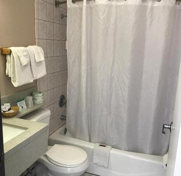 اتاق استاندارد با تخت بزرگ, Manhattan Inn & Suites