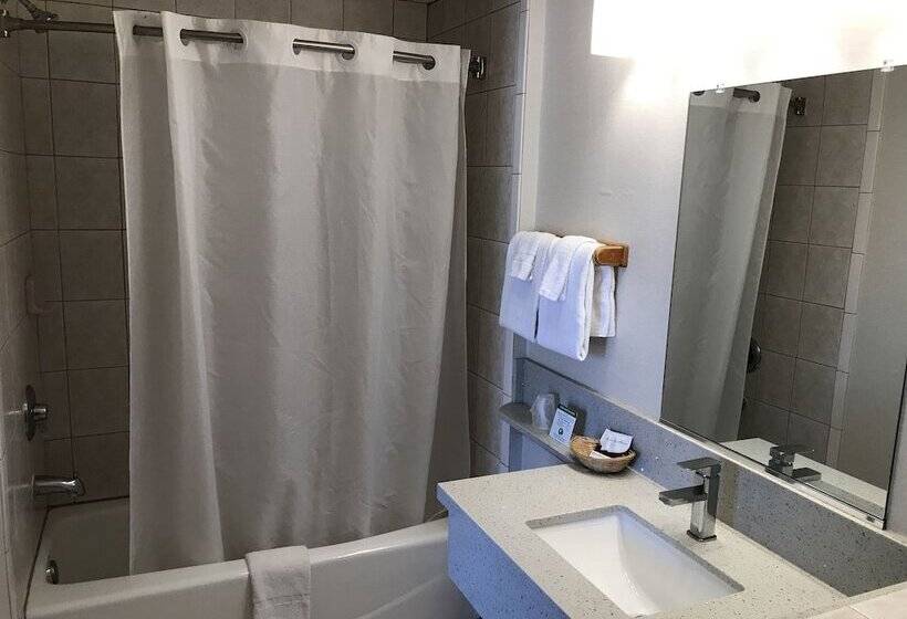 اتاق لوکس, Manhattan Inn & Suites