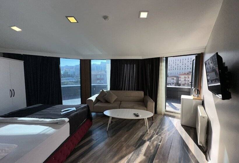 اتاق استاندارد با چشم‌انداز شهر, Plus Park Suite &