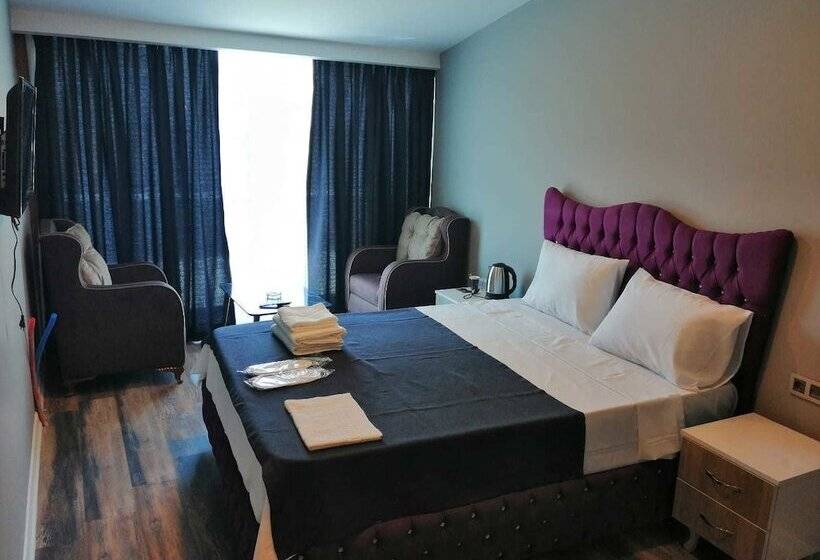 اتاق استاندارد با چشم‌انداز شهر, Plus Park Suite &