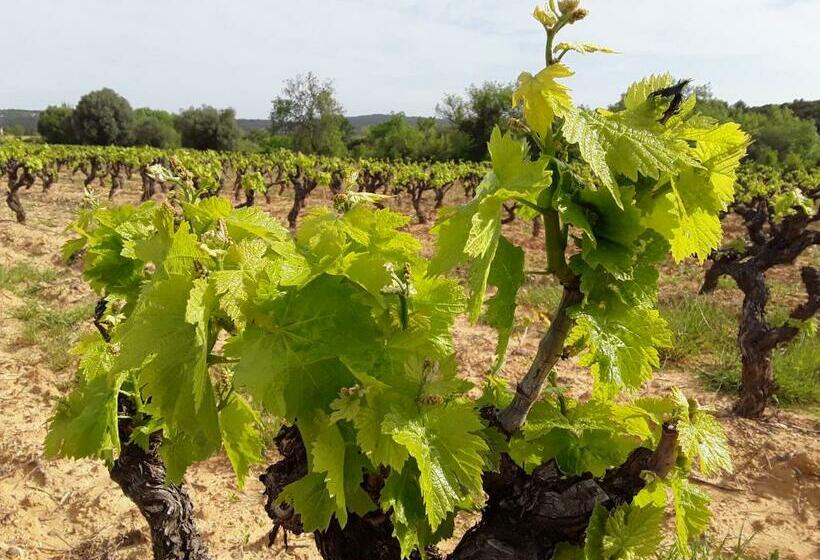 Номер Стандарт Вид на Сад, Les Terres Basses