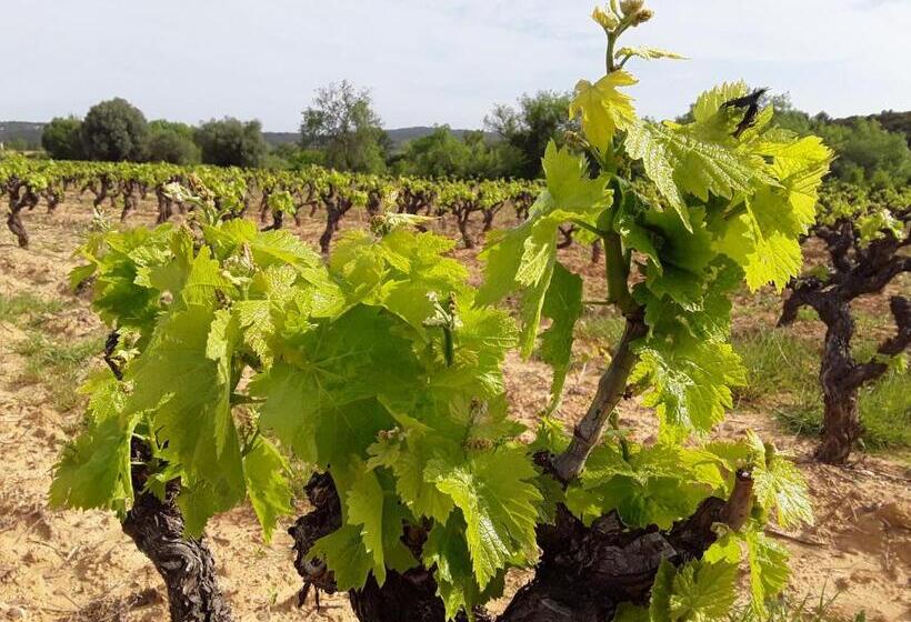 Номер Deluxe, Les Terres Basses