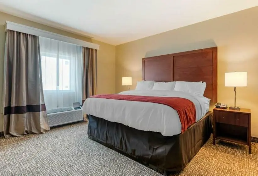 キングサイズベッドのスイートルーム, Comfort Inn & Suites