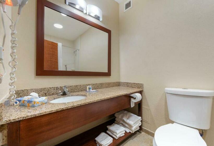 غرفة قياسية سرير كينج, Comfort Inn & Suites