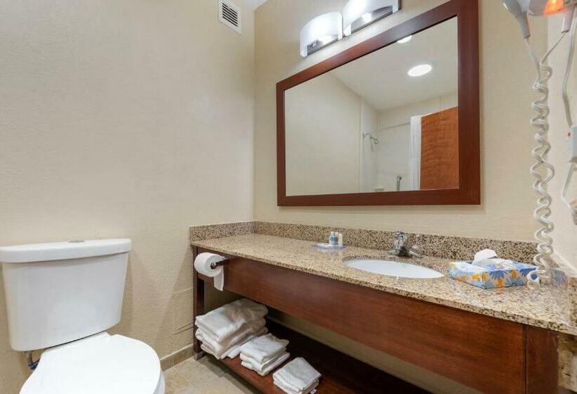 غرفة قياسية سرير كينج, Comfort Inn & Suites