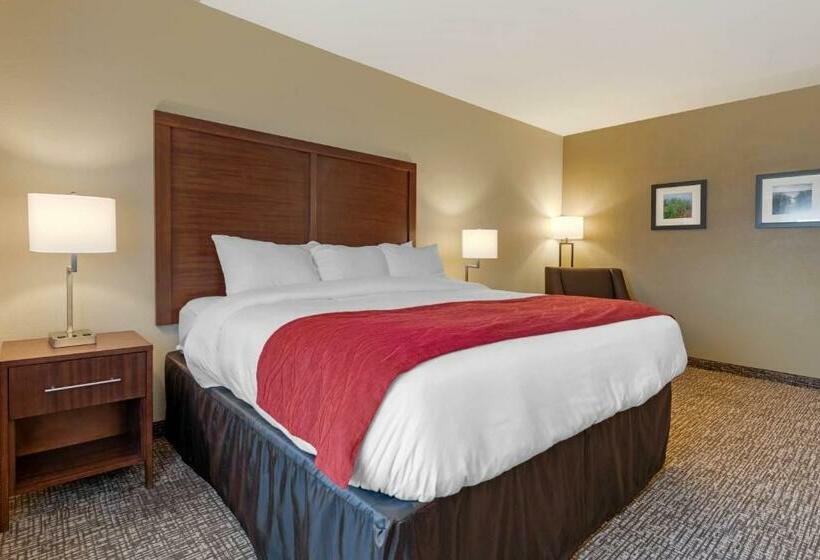 غرفة قياسية سرير كينج, Comfort Inn & Suites