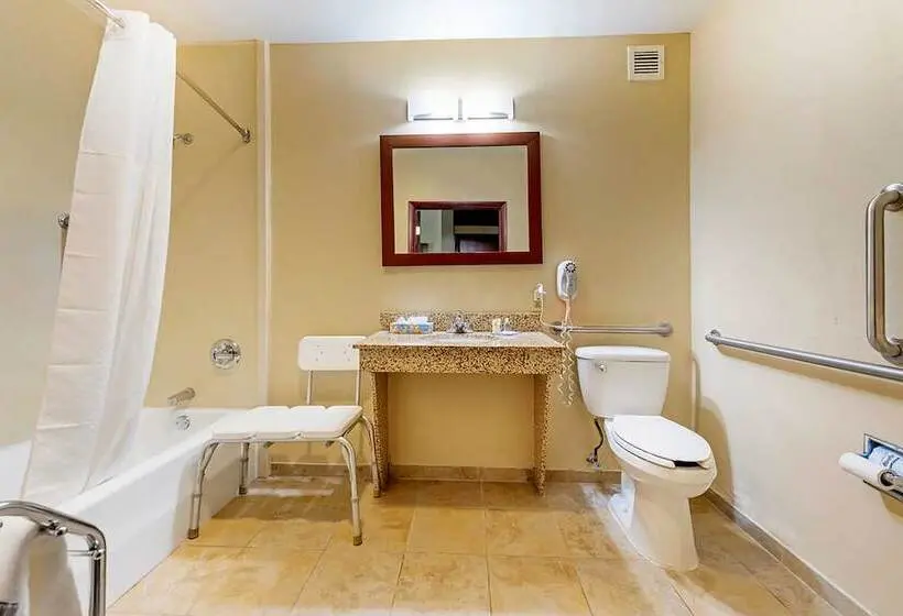 身障者適用スイートルーム, Comfort Inn & Suites