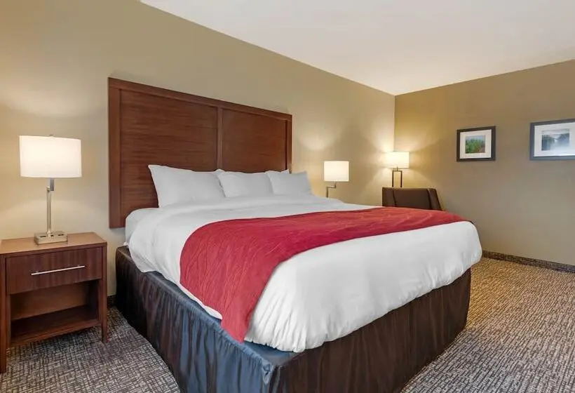 身障者適用スイートルーム, Comfort Inn & Suites