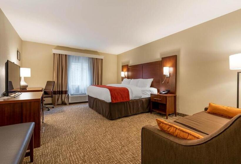 جناح سرير كينج, Comfort Inn & Suites