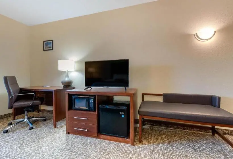 スタンダードルーム, Comfort Inn & Suites