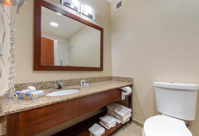 غرفة قياسية, Comfort Inn & Suites