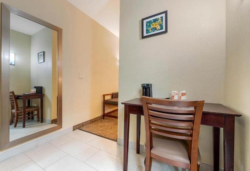 غرفة قياسية, Comfort Inn & Suites