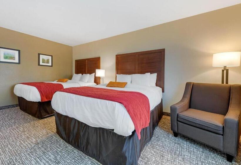 غرفة قياسية, Comfort Inn & Suites