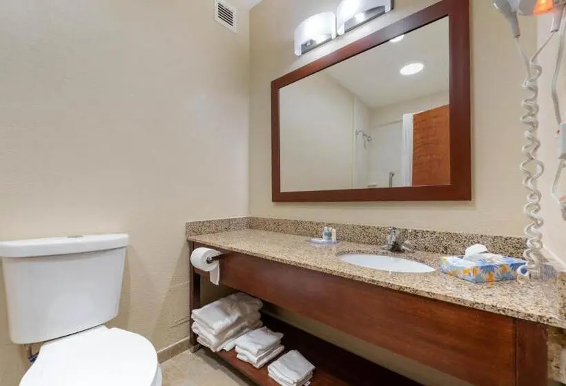 身障者適用キングサイズベッドルーム, Comfort Inn & Suites