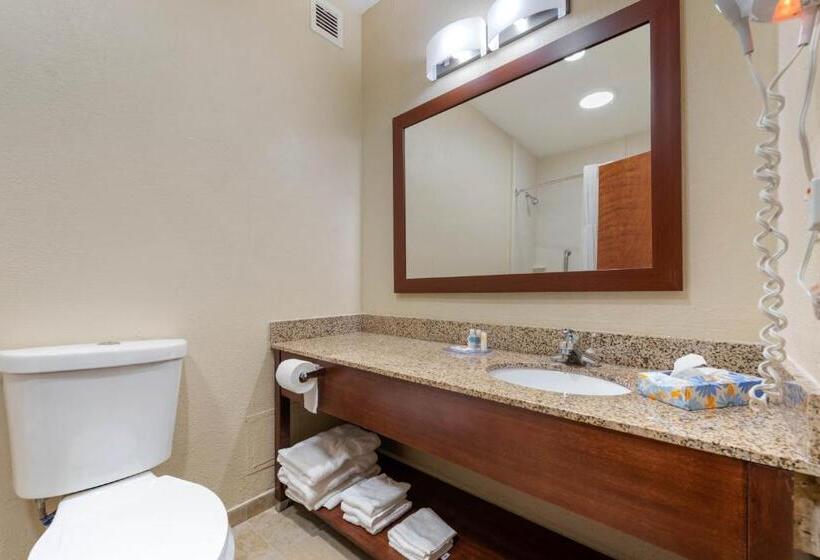 غرفة قياسية لذوى الاحتياجات الخاصة, Comfort Inn & Suites