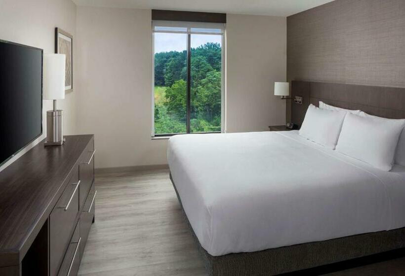 带大床的高级房间, Hyatt Place Poughkeepsie   Hudson Valley
