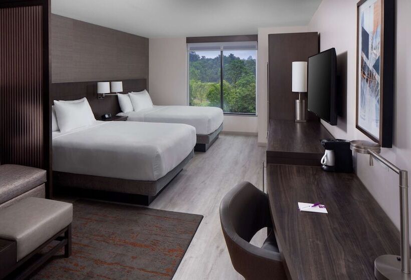 适合残疾人使用的标准间, Hyatt Place Poughkeepsie   Hudson Valley