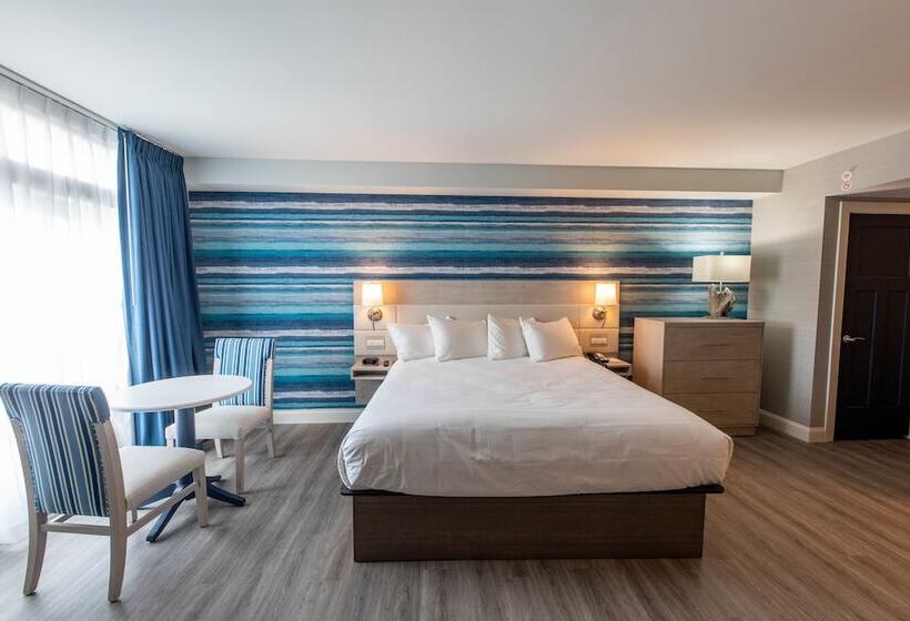 إستوديو قياسى سرير مزدوج, Lbi