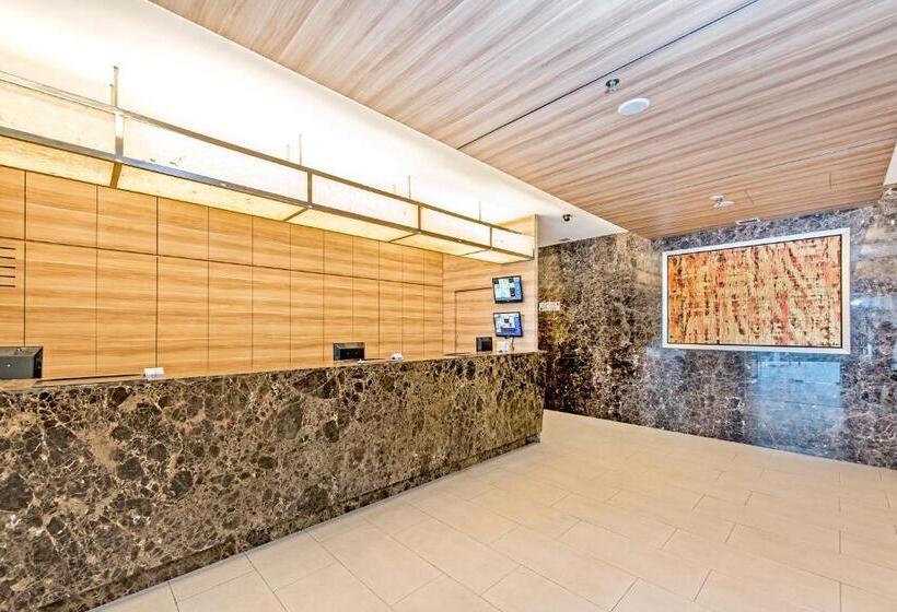 اتاق سوپریور, 81 Dickson