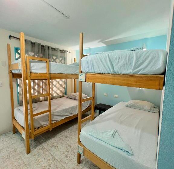 共用房间的床, Hostel Samara