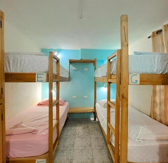 共用房间的床, Hostel Samara